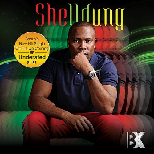 Shelldung - Single