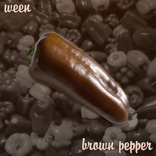Brown Pepper