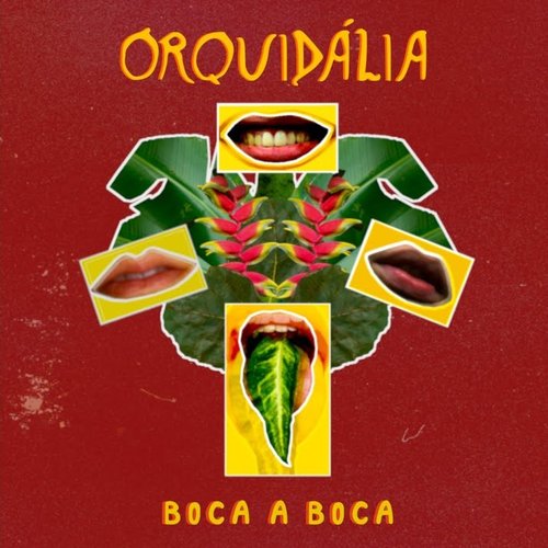 Boca a Boca