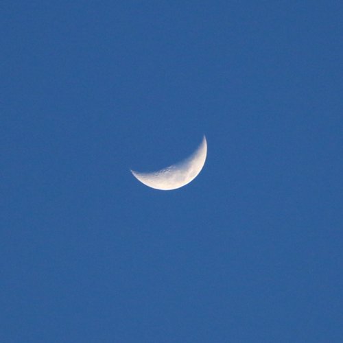 Snowless Winter Interlude - Single