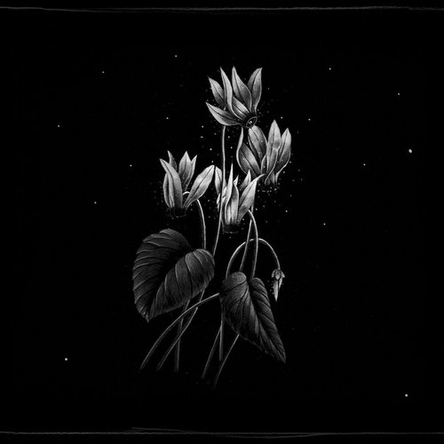Candélabre EP