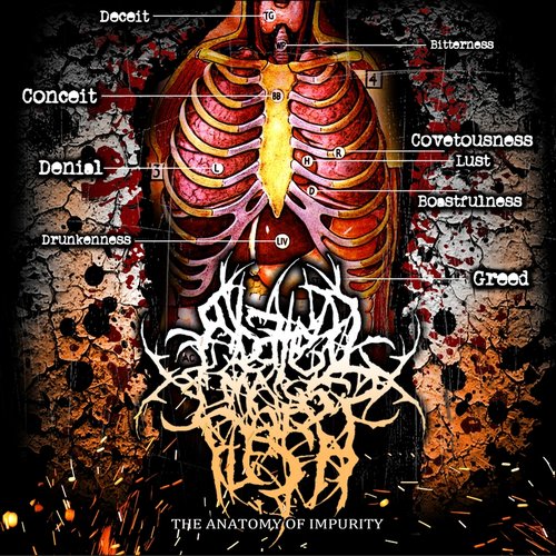 The Anatomy Of Impurity