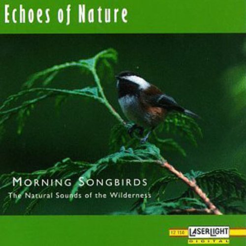 Morning Songbirds