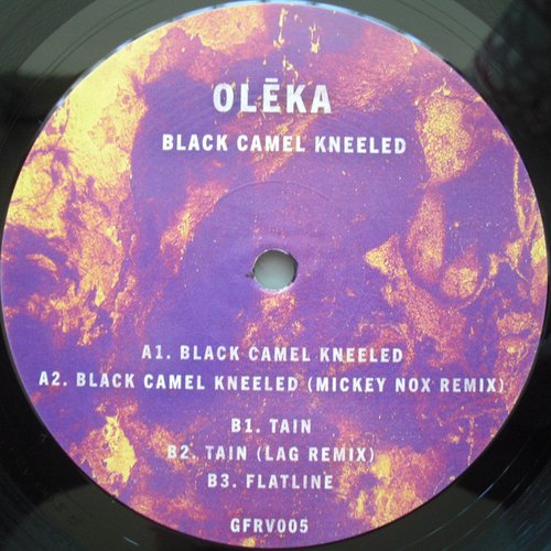 Black Camel Kneeled
