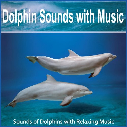 Dolphin Sounds With Music: Sounds of Dolphins With Relaxing Music