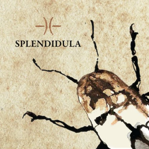 Splendidula
