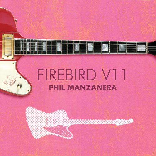 Firebird V11