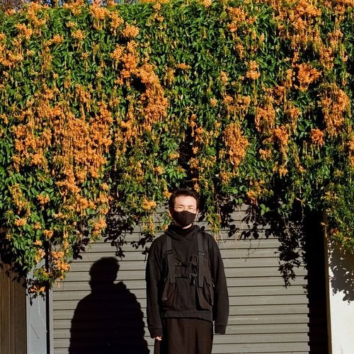 Brume — Parasol | Last.fm