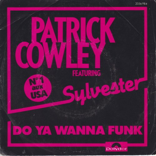 Do Ya Wanna Funk