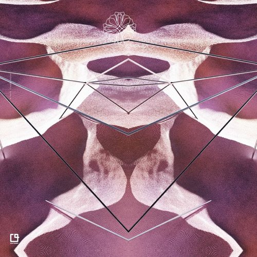 Out Of Cycle LP