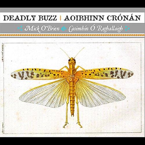 Deadly Buzz | Aoibhinn Crónán