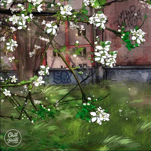 Spring Patterns