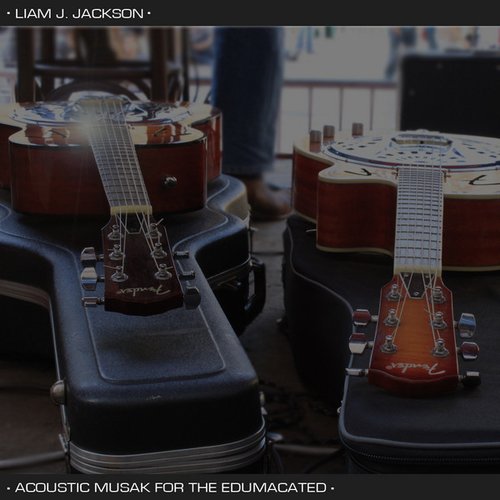 Acoustic Musak For The Edumacated