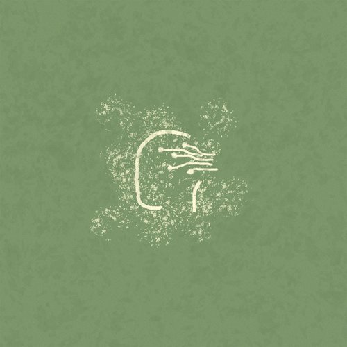 Vibration Consensus Reality (for Spectral Multiband Resonator) / Scatterbrains