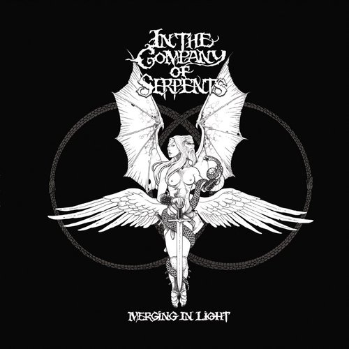 Merging in Light - Single