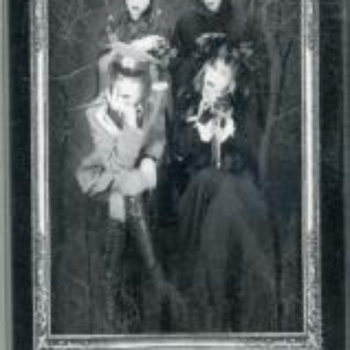 elm-エルム-