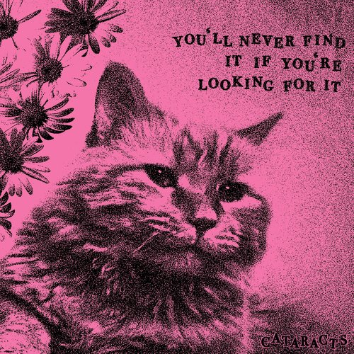 You'll Never Find It If You're Looking For It - Single