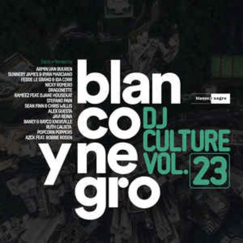 Blanco y Negro DJ Culture, Vol. 23