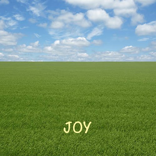JOY