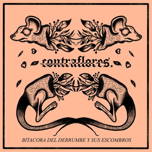Bitácora Del Derrumbe y Sus Escombros
