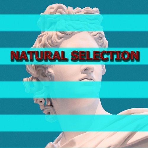 Natural Selection