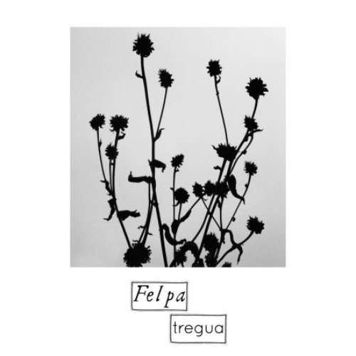 Tregua