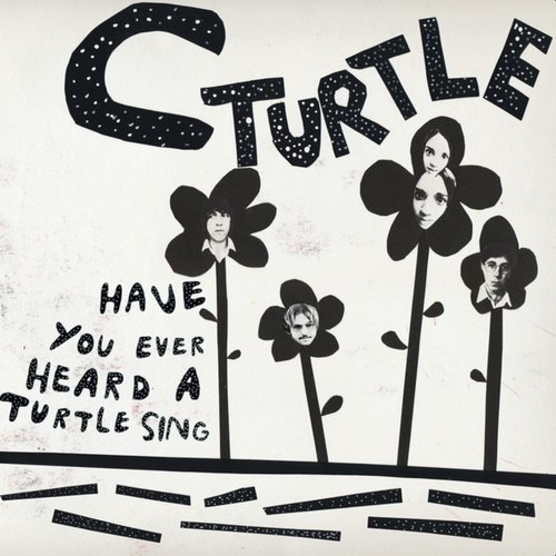 Have You Ever Heard A Turtle Sing?