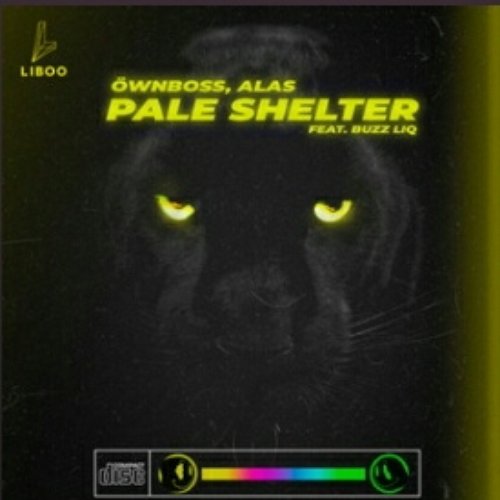 Pale Shelter (Radio Edit)