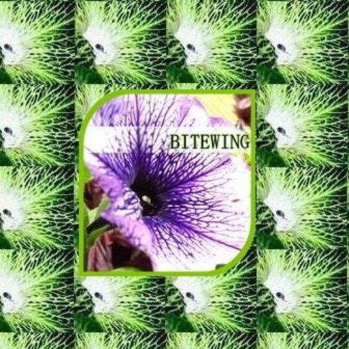 Bitewing Petunia