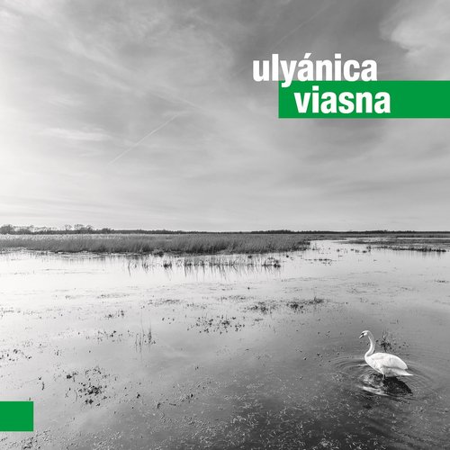 Viasna