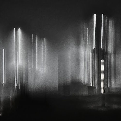 In The Midst Of Grey