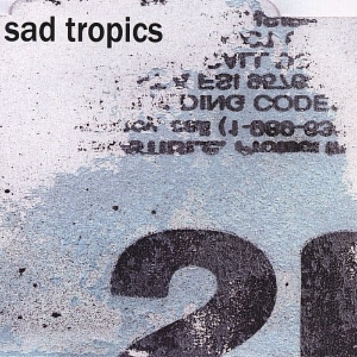 Everything Was Beautiful And Nothing Hurt