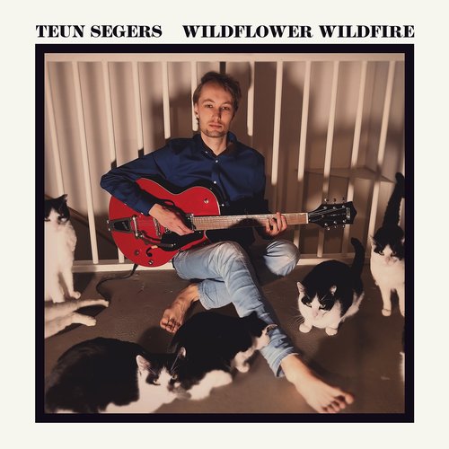 Wildflower Wildfire