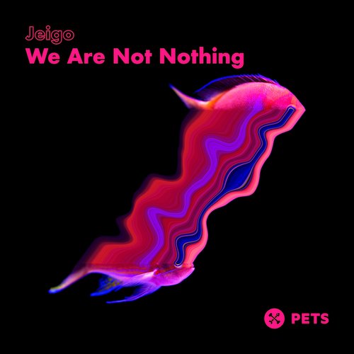 We Are Not Nothing