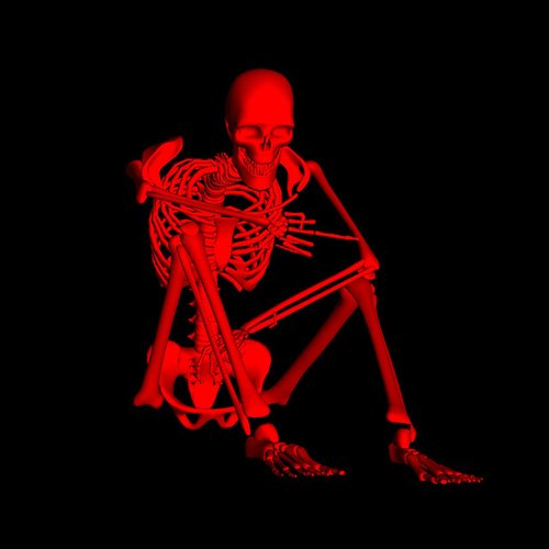 Skin & Bones - Single