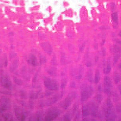Fluorescent Glass