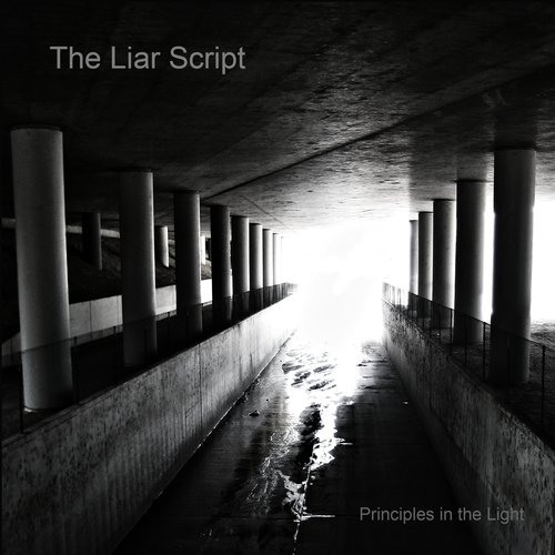 Principles in the Light