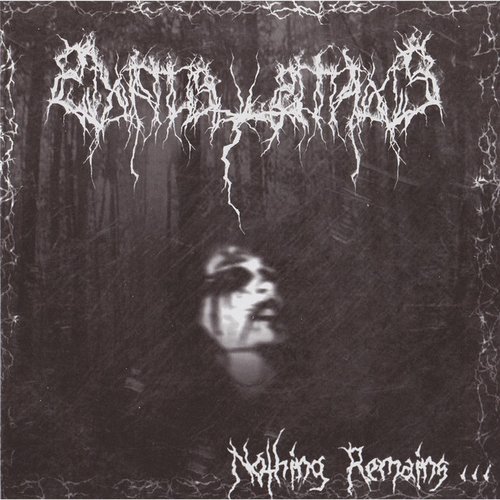 Nothing Remains... [Explicit]