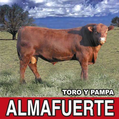 Toro y Pampa (Remasterizado 2021)