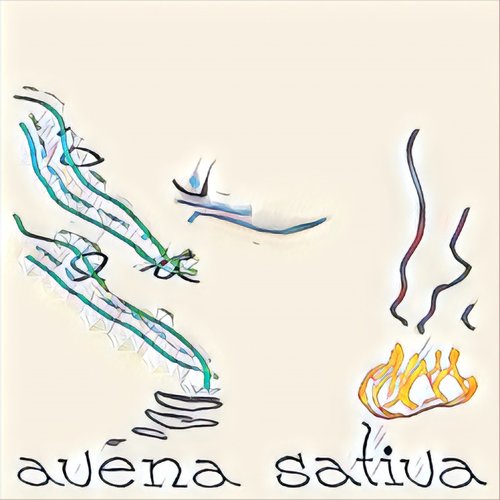 Avena Sativa