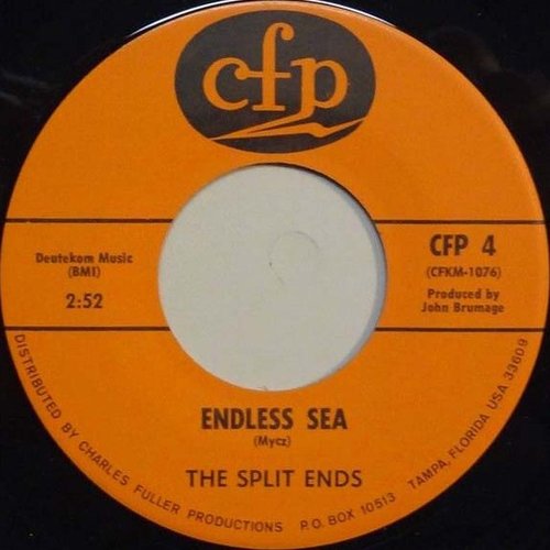 Endless Sea / Rich With Nothin'