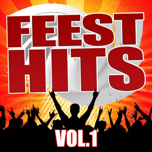 Feest Hits vol. 1