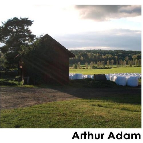 In A Cabin With Arthur Adam