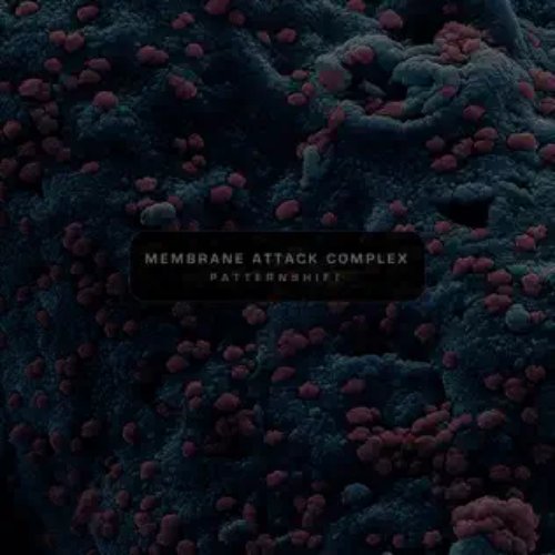 Membrane Attack Complex