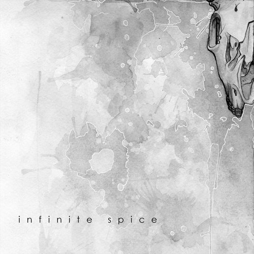 Infinite Spice - Single
