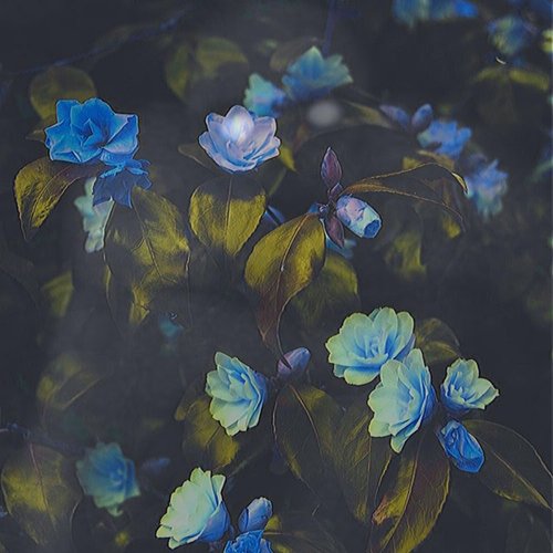 Charlie - EP