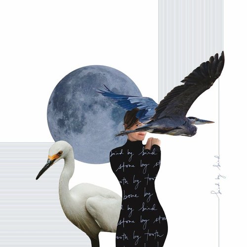 Bird by Bird