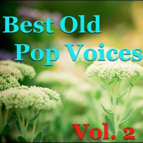 Best Old Pop Voices, Vol. 2