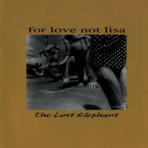 The Lost Elephant