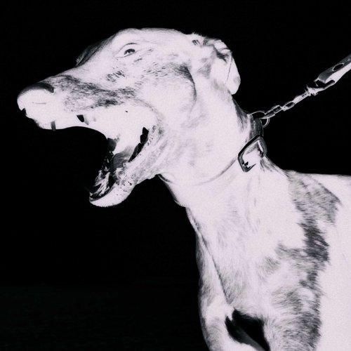 Degenerate Inanimate - Single